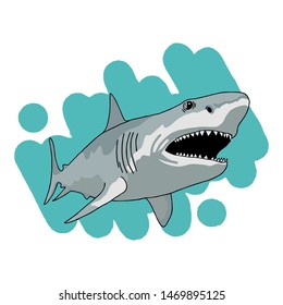 Hand drawn shark logo, vector illustration