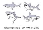 Hand drawn shark vector illustration. Bull shark cartoon characters. Suitable for shark mascot