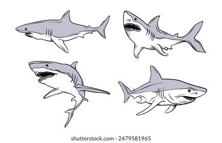 Hand drawn shark vector illustration. Bull shark cartoon characters. Suitable for shark mascot