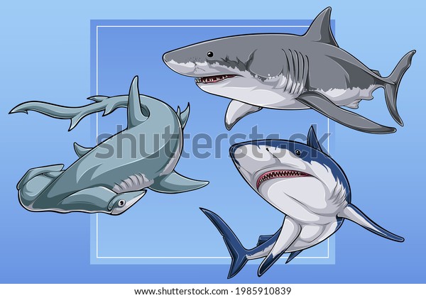 Hand drawn Sharks collection,
great white shark, blue shark and scalloped hammerhead
shark