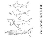 Hand drawn Sharks Vector Bundle – Hammerhead, Great White, Basking, Whale Shark