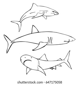 Hand drawn sharks. Vector illustration.