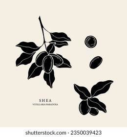 Hand drawn shea nunt collection svg