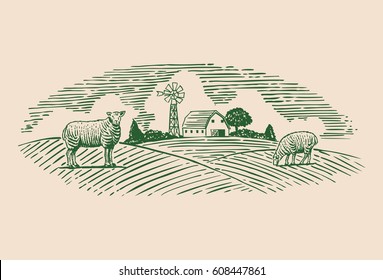 Hand drawn sheep in a field, vector