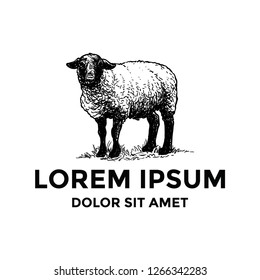 Hand Drawn Sheep Logo Template