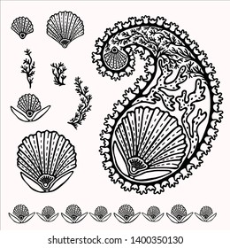 Hand drawn shell paisley motif illustration. Exotic marine elements set. Tropical ocean line art persian style. Foulard drop motif, scallop seashell, seaweed. Decorative shawl medallion boteh clip art