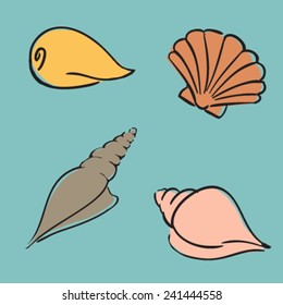 hand drawn shell set