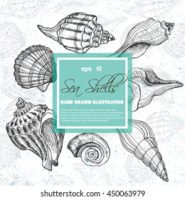 Hand Drawn Shell Set Vector Illustration Stock Vector (Royalty Free ...