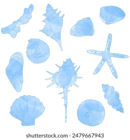 Hand drawn shell set, watercolor, decorative materials