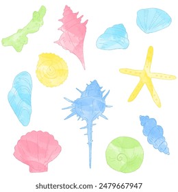 Hand drawn shell set, watercolor, decorative materials