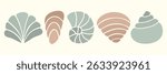 Hand drawn shell silhouettes set in modern pastel colors. Minimal seashell icon. Element for summer nature branding, packaging, beach design, logo, vacation prints, travel, sea decor, pattern design