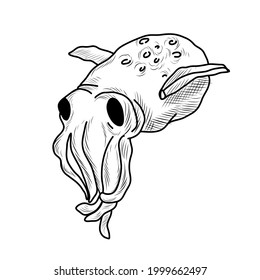 Hand drawn shellfish, mediterranean cuisine