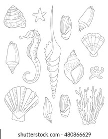 hand drawn shells for Coloring pages for adults, a collection of different shells, linear vector illustration, Anti stress Coloring Page