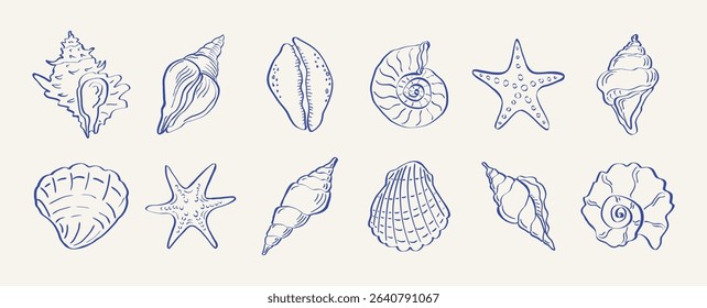 Hand drawn shells ocean doodle collection. Outline sea shells and sea stars, vintage marine sketches, oysters rapanas, coastal bohemian lifestyle concept. Vector set.