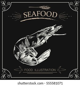 Hand drawn shrimp isolated on chalkboard. Seafood sketch vector illustrator. Retro style