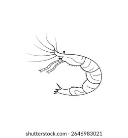 Ilustração de contorno de camarão desenhado à mão
