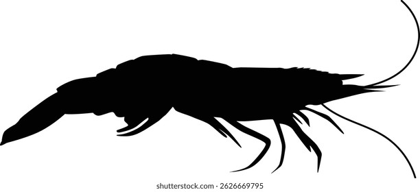 Hand drawn shrimp silhouette illustration. Ocean animal silhouette.