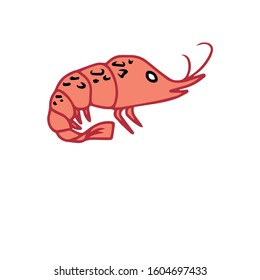Hand drawn, shrimp Vector illustration on white isolated background.Form for banners, postcards.food and drink