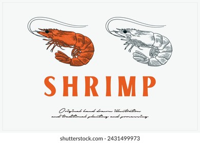 hand drawn shrimp vector illustration