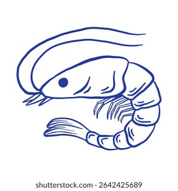 Ilustração do vetor de camarão desenhado à mão. Doodle frutos do mar isolados sobre fundo branco. La dolce vita Itália estilo retrô
