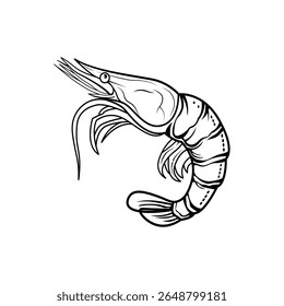 Ilustração de vetor de camarão desenhado à mão