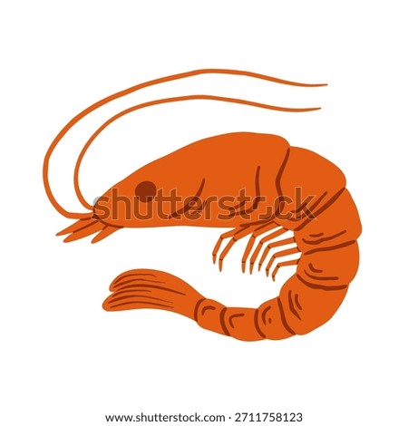 Hand drawn shrimp vector illustration. Cartoon prawn seafood icon 
