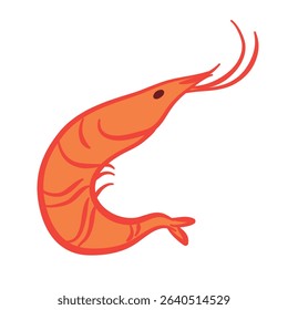 Hand drawn shrimps in doodle style. Mediterranean seafood, summer element for italian menu, wedding, print, invitation. Ink sketch design of Amalfi beach. Flat tropical minimalist vector illustration