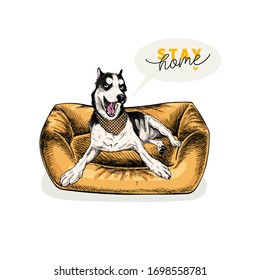 Hand drawn siberian husky dog lies in modern pet furniture. Stay home. Vector engraved quarantine poster. Stay chick, stay at home. Covid-19 pandemic flyer. Dog bed decoration