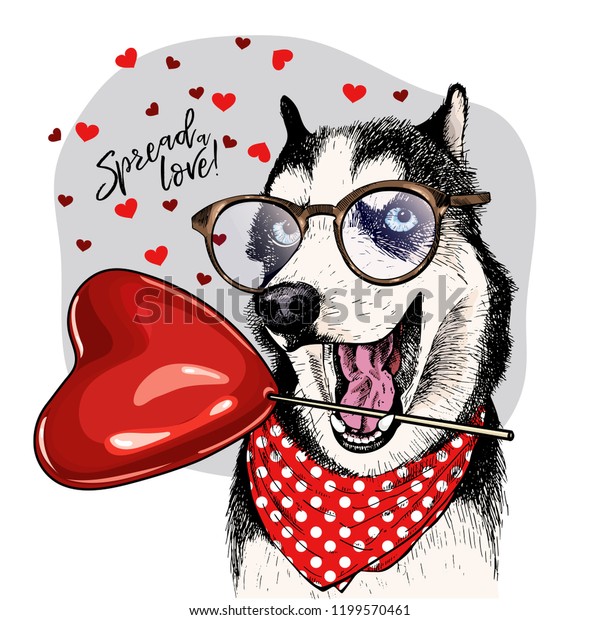 Hand drawn siberian husky with heart shape baloon. Vector Valentine day greeting card. Cute colorful dog wears glasses and bandana. Romantic design. Lovely pet portrait. Poster, banner. Spread love.