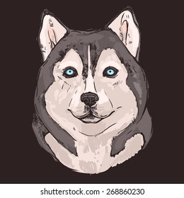 Hand drawn Siberian Husky on blackboard