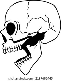 Hand Drawn side skull illustration isolated on background