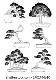 hand drawn side view Bonsai tree vector set isolated on white background.
