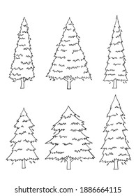hand drawn side view Pine tree vector set isolated on white background.