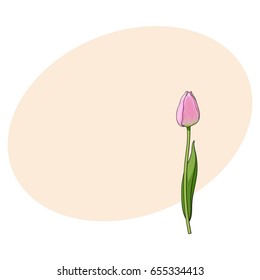 Hand drawn of side view pink closed tulip flower, sketch style vector illustration with space for text. Realistic hand drawing of tulip flower, decoration element