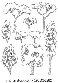 hand drawn side view tree vector set isolated on white background.