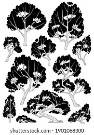 hand drawn side view tree vector set isolated on white background.