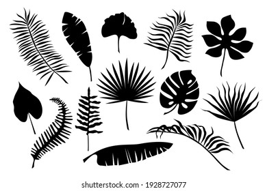 Hand drawn silhouette branches of tropical plant leaves isolated on white background. Flat vector illustration. Design for pattern, logo, banner, posters, invitation, greeting card 