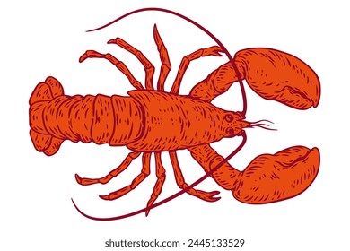 Hand drawn silhouette color lobster isolated on white background.  Sea animals in sketch vintage style. Vector retro illustration.