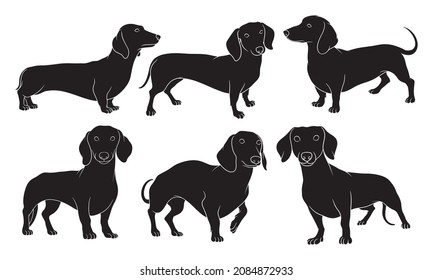 hand drawn silhouette dachshund