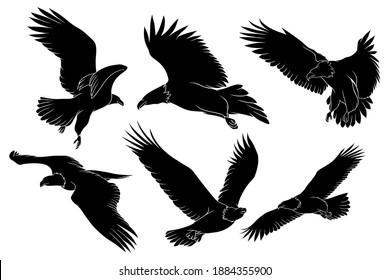Hand drawn silhouette of eagle