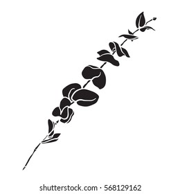 Hand drawn silhouette eucalyptus branches with round leaves isolated on white. Botanical elements. Beautiful floral design elements. 