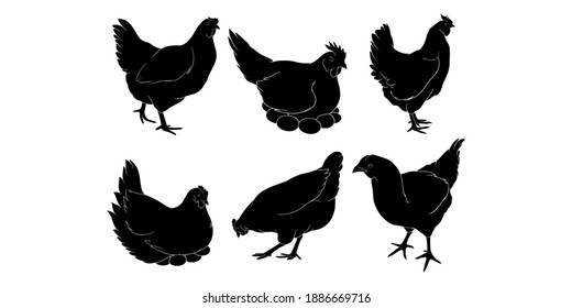 hand drawn silhouette of hen