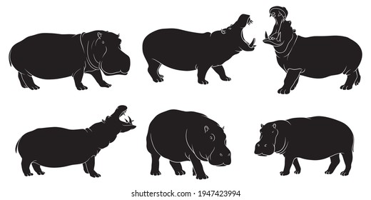 hand drawn silhouette of hippopotamus