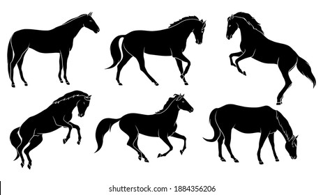 hand drawn silhouette of horse