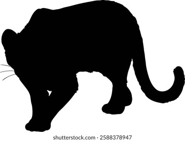 Hand drawn silhouette illustration of Clouded Leopard