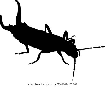 Hand drawn silhouette illustration. Insect animal isolated on white.