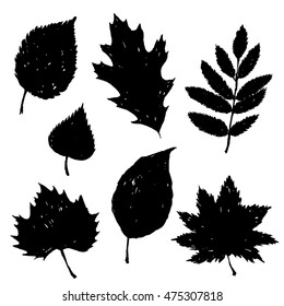 Hand drawn silhouette of leaves vector set