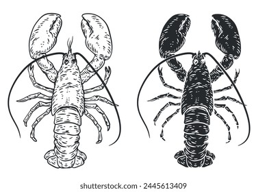 Hand drawn silhouette monochrome lobster isolated on white background.  Sea animals in sketch vintage style. Vector retro illustration.