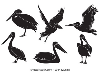 hand drawn silhouette of pelican