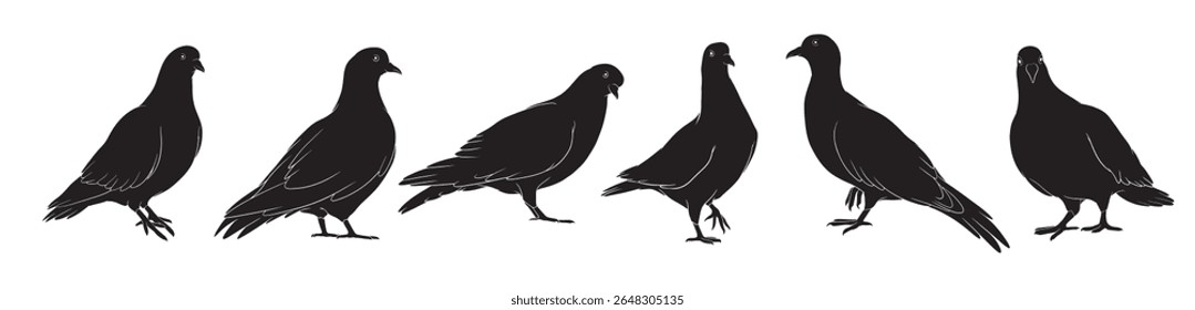 hand drawn silhouette of pigeon